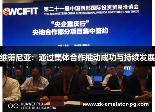 维蒂尼亚:通过集体合作推动成功与持续发展 维蒂尼亚:通过集体合作推动成功与持续发展